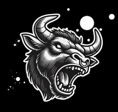 Taurus concept patch